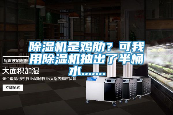 除濕機是雞肋?可我用除濕機抽出了半桶水.......