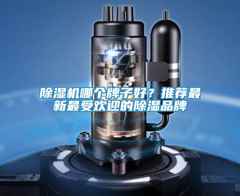 除濕機哪個牌子好？推薦最新最受歡迎的除濕品牌