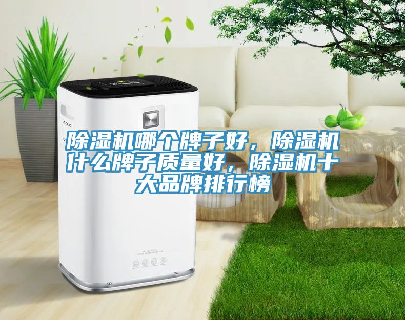 除濕機哪個牌子好，除濕機什么牌子質量好，除濕機十大品牌排行榜