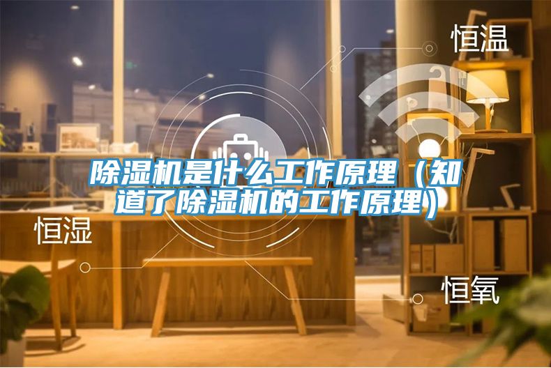 除濕機是什么工作原理(知道了除濕機的工作原理)